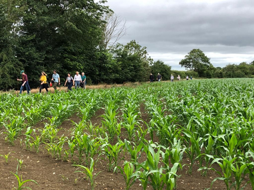 Dry Drayton Boundary Walk 2020