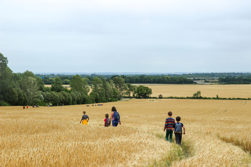 Dry Drayton Boundary Walk 2020