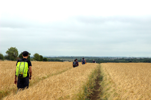 Dry Drayton Boundary Walk 2020