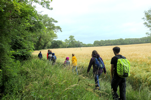 Dry Drayton Boundary Walk 2020