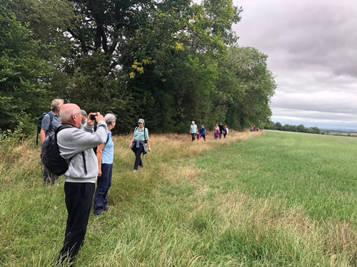 Dry Drayton Boundary Walk 2020