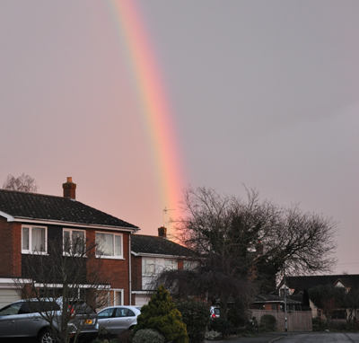 Rainbow Feb 2014